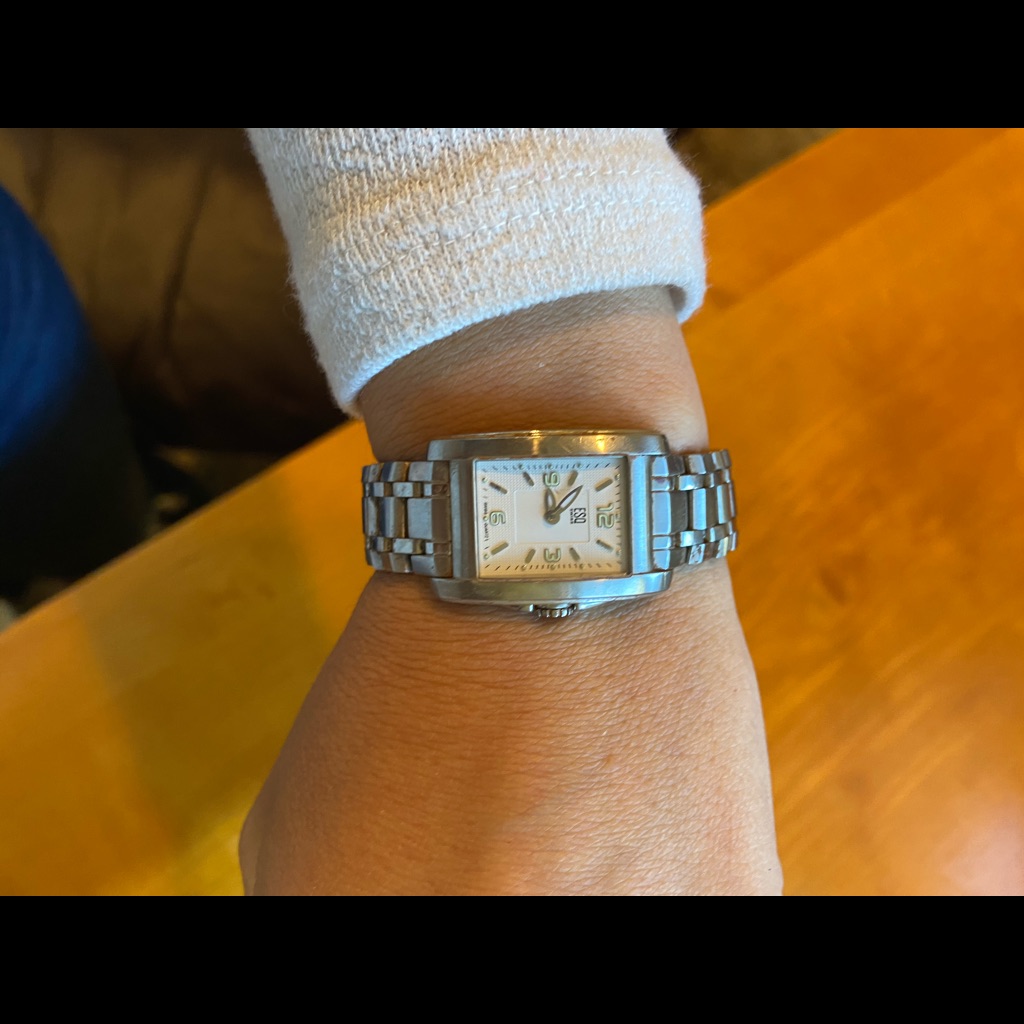 Esq Watch Ladies
